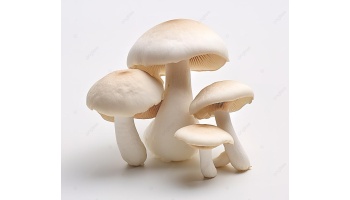d3f13c1c-2af5-4809-b483-1fdbfa76dd42
